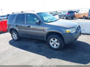  Salvage Ford Escape