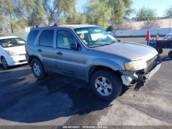  Salvage Ford Escape