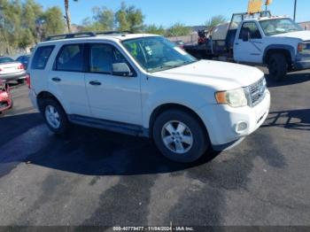  Salvage Ford Escape