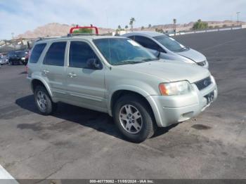  Salvage Ford Escape