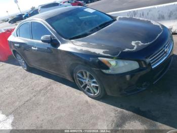  Salvage Nissan Maxima