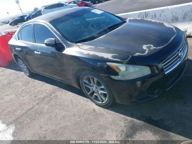  Salvage Nissan Maxima