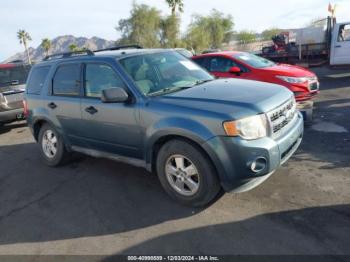  Salvage Ford Escape