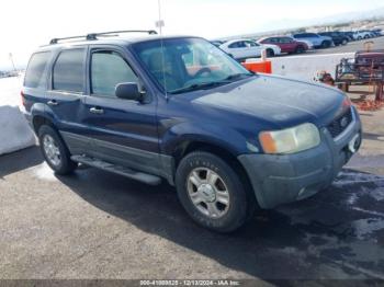  Salvage Ford Escape