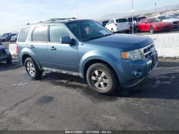  Salvage Ford Escape