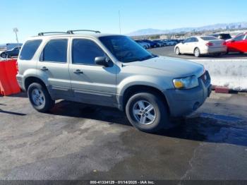  Salvage Ford Escape