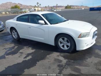  Salvage Dodge Charger