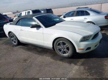  Salvage Ford Mustang