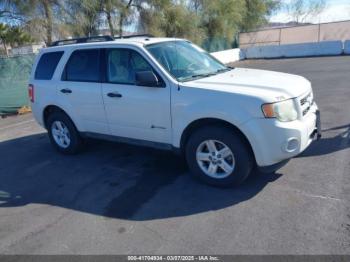  Salvage Ford Escape