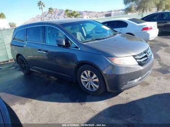  Salvage Honda Odyssey