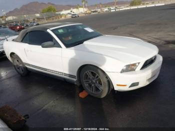  Salvage Ford Mustang