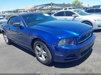  Salvage Ford Mustang