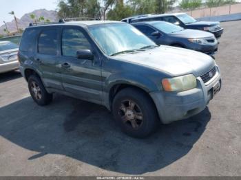  Salvage Ford Escape