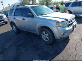  Salvage Ford Escape