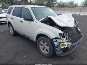  Salvage Ford Escape