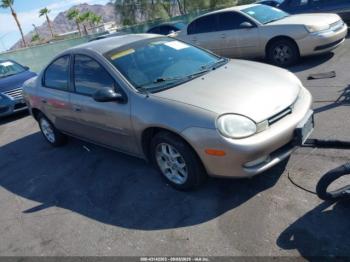  Salvage Dodge Neon