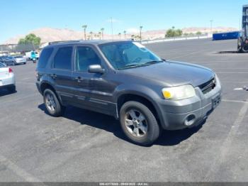  Salvage Ford Escape