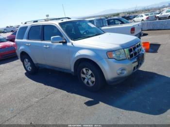  Salvage Ford Escape
