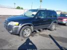 Ford Escape Xlt Image 4