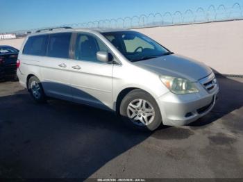 Salvage Honda Odyssey