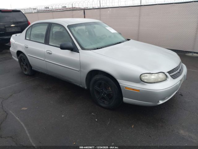 Chevrolet Malibu Image 1