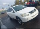 Lexus RX Image 1