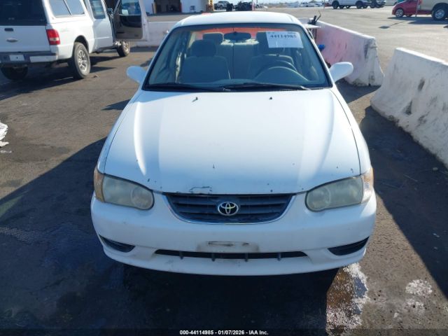 Toyota Corolla Le Image 2